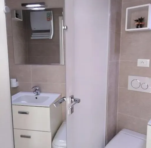 Les Delphes, Tres Beau 2p Proche Et Monaco 公寓 *